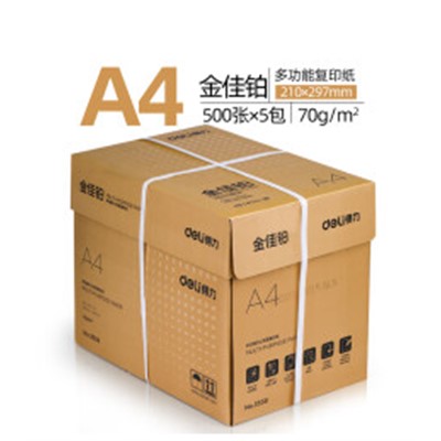 得力/deli DL-123 復(fù)印紙 金佳柏A4打印紙70g/500張 5包/箱